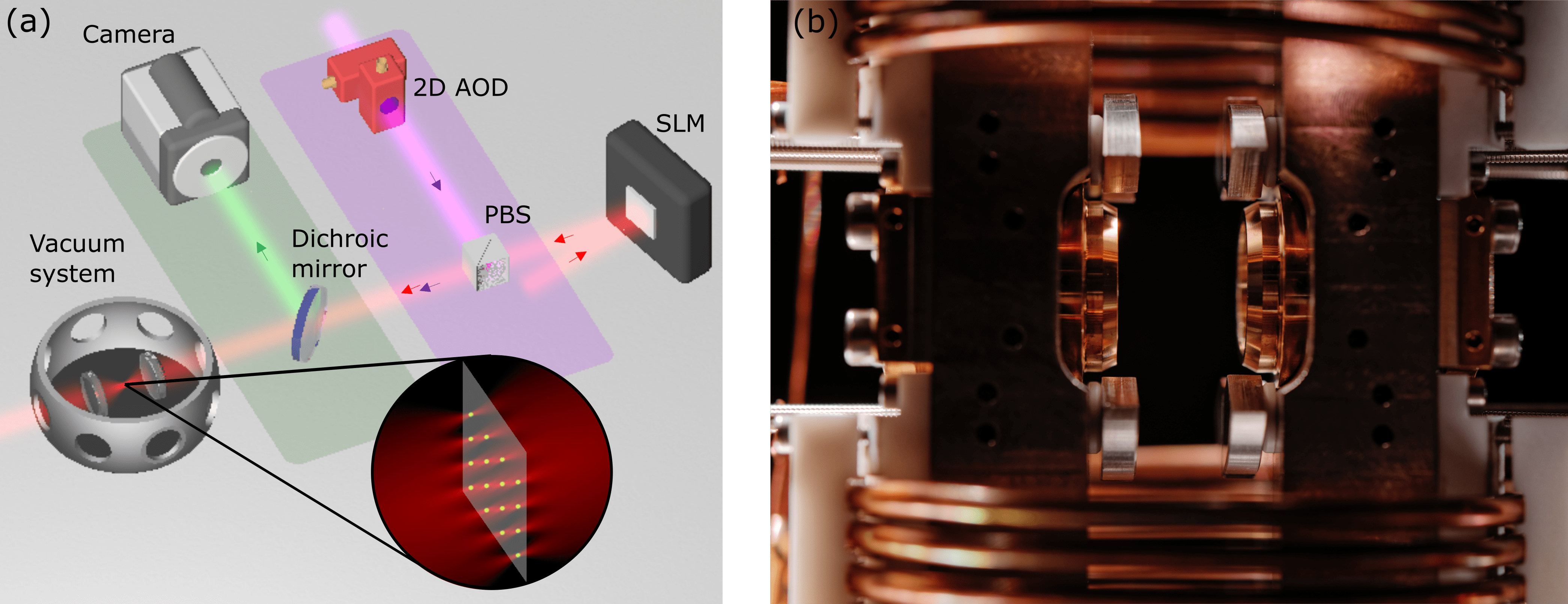 ../_images/neutral-atom-device-schematic.png